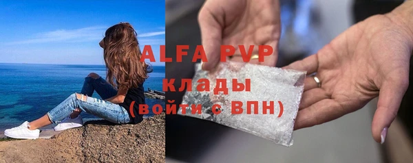 ешки Алексин