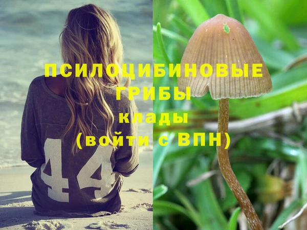 ешки Алексин