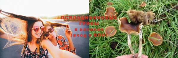 мяу мяу кристалл Каменногорск
