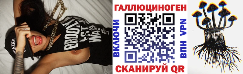 где продают наркотики  Суджа  blacksprut рабочий сайт  Псилоцибиновые грибы прущие грибы 